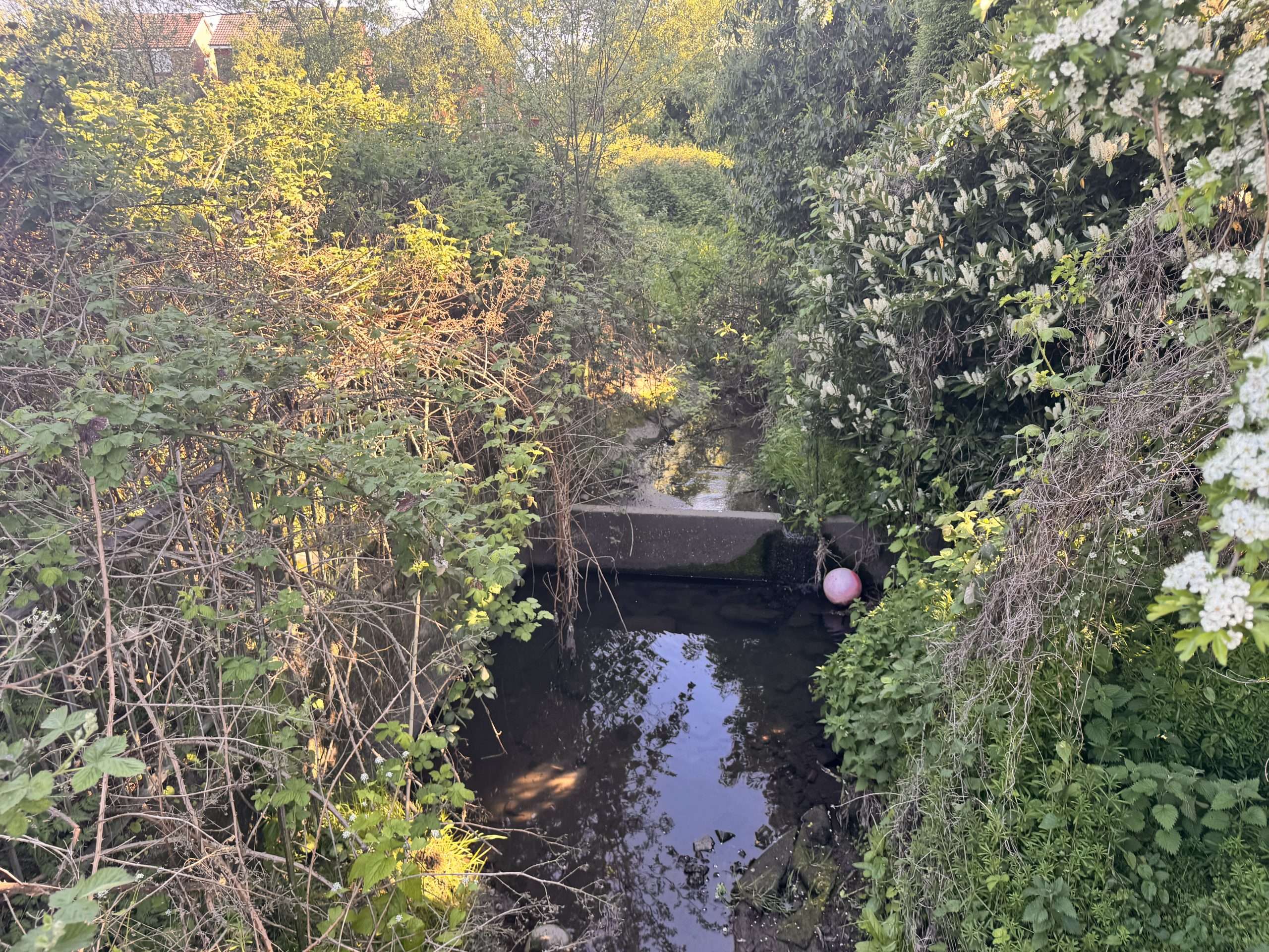 LLFA Urban flooding in London affecting roads and residential properties