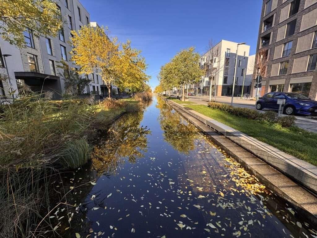 flood risk housing river in the middle of the development