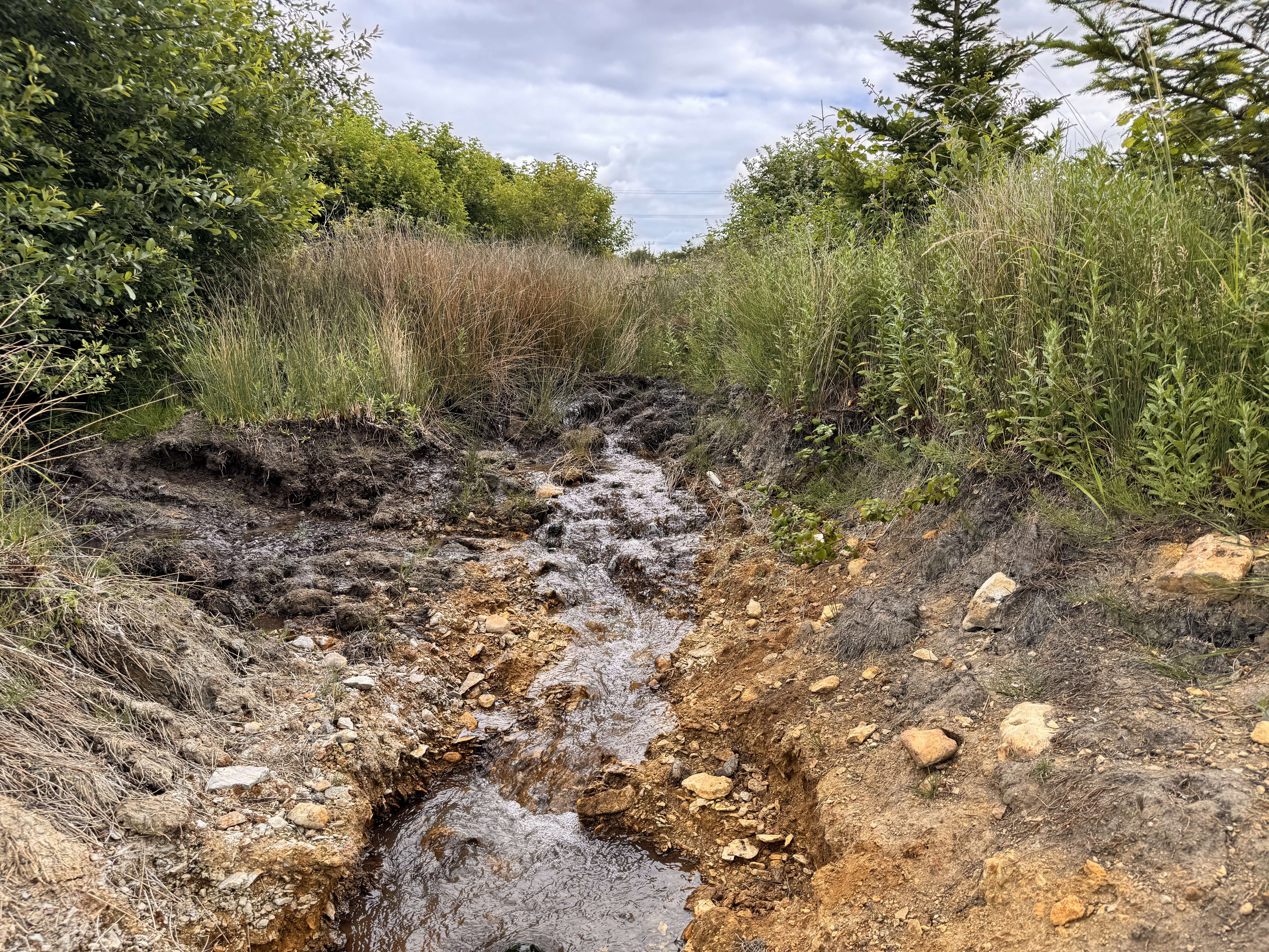 Flood Risk Assessment Surface Water Assessment