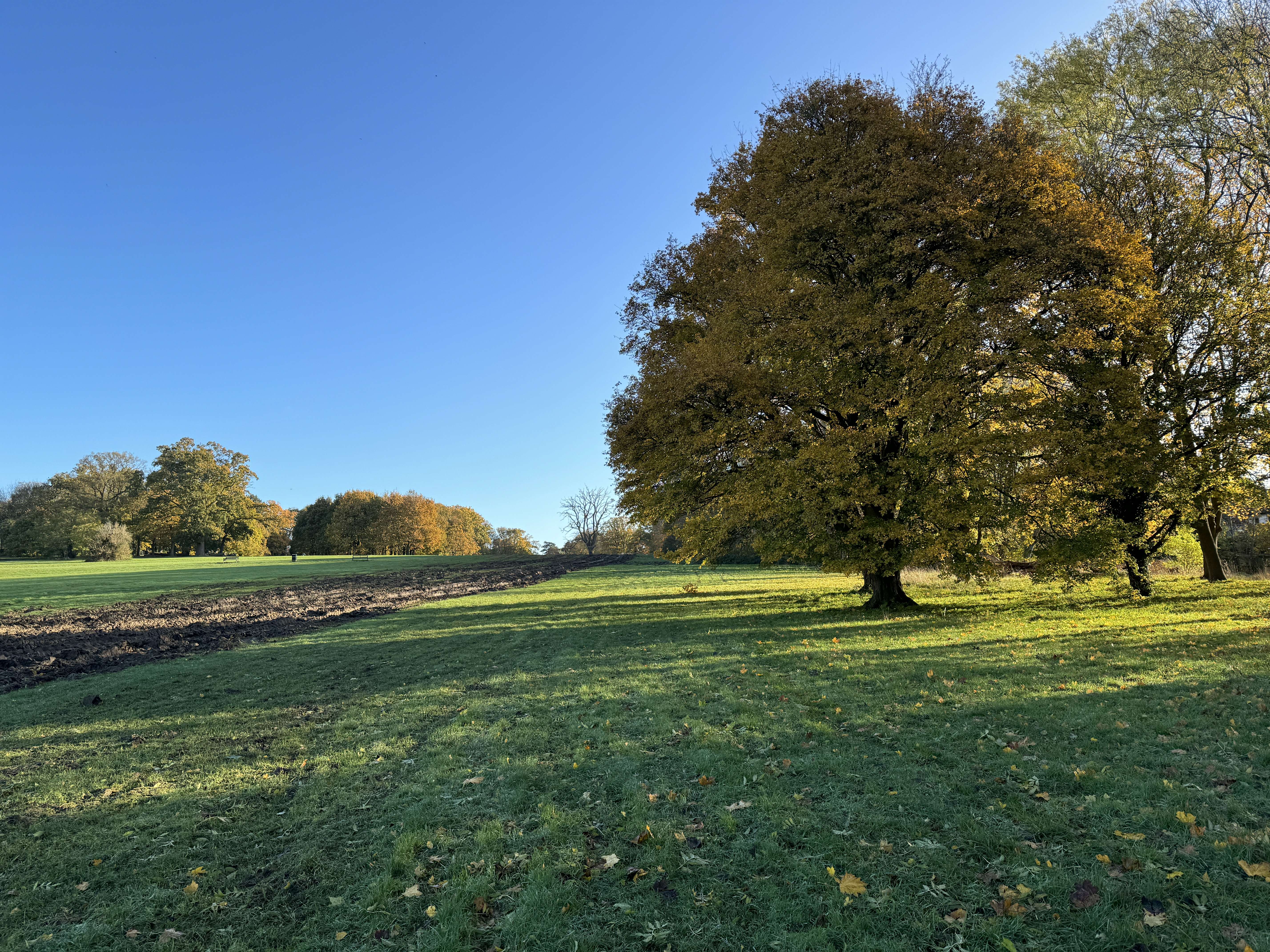 Flood risk assessment services in Yorkshire for planning applications and development sites