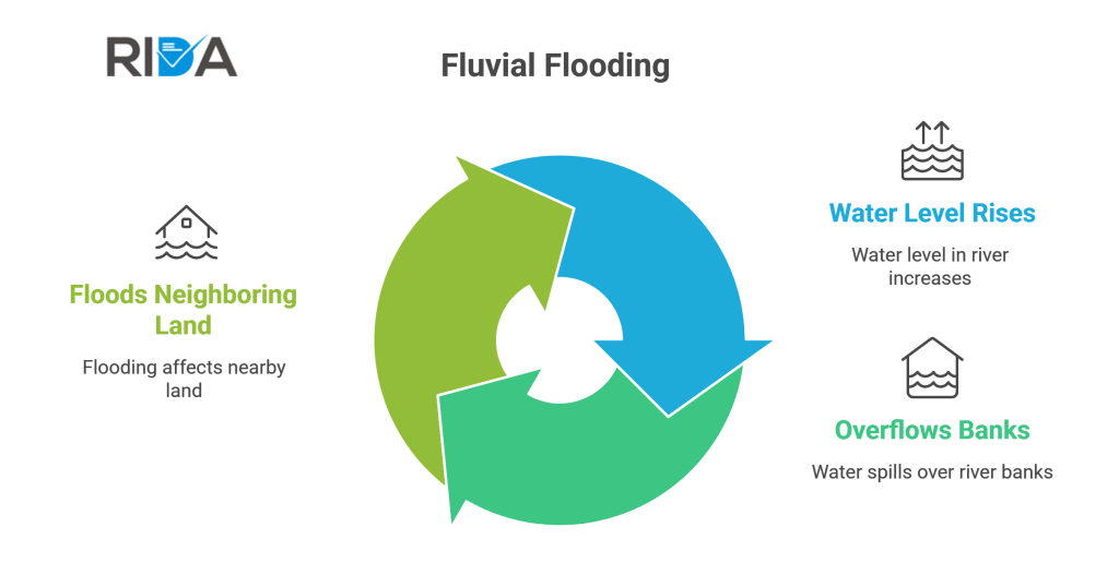 Fluvial Flooding process