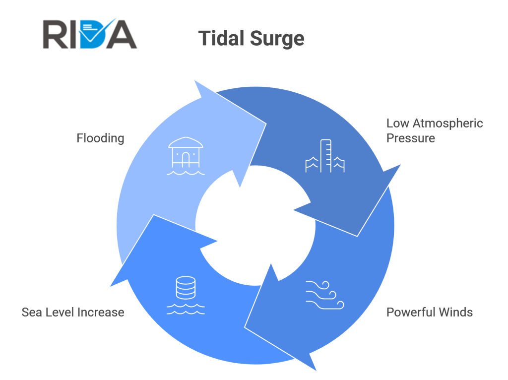 Tidal Surge flowchart