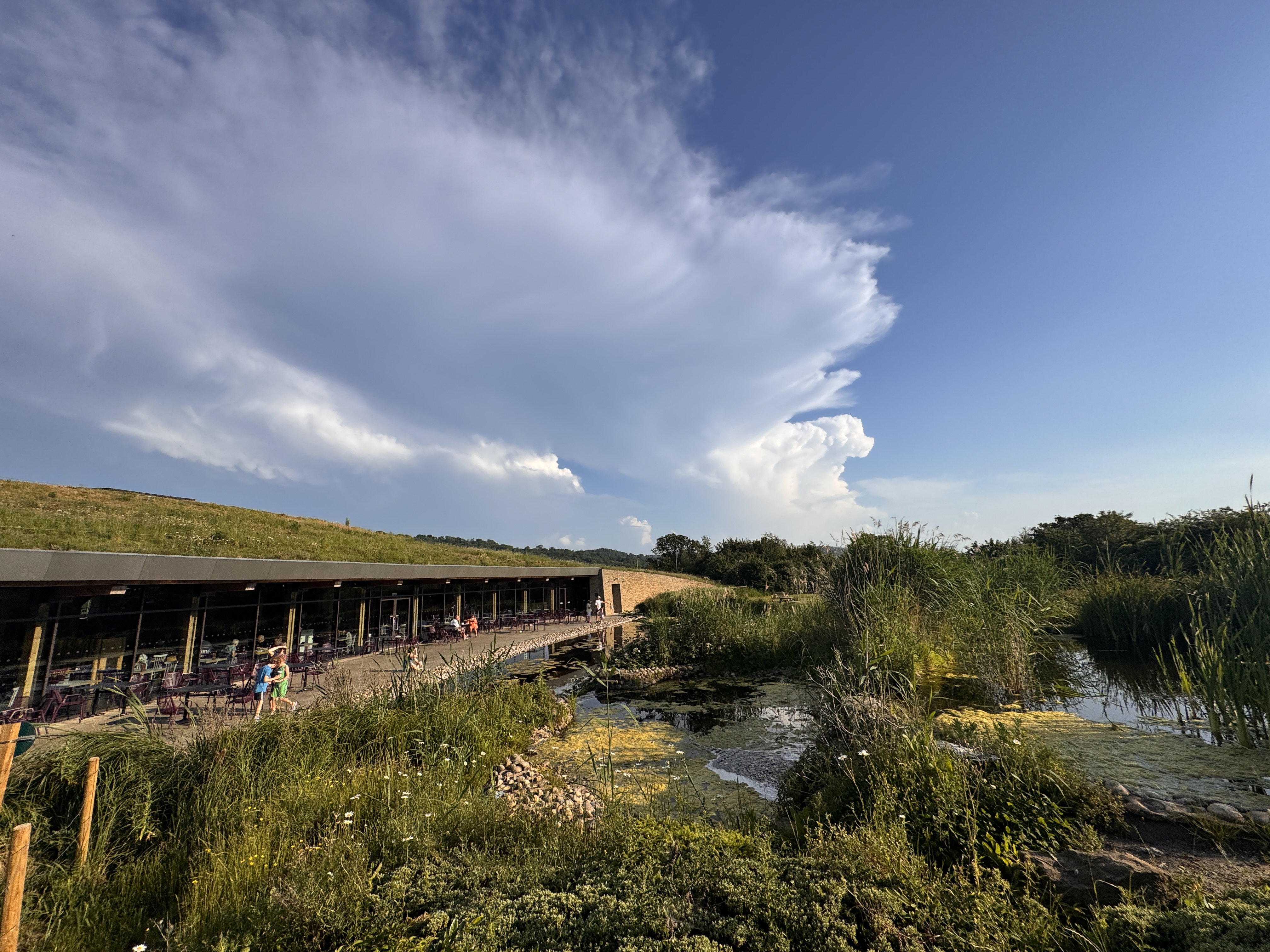 Green Roof Drainage Design supporting project image